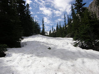 Easy snow on upper Tull Canyon trail.