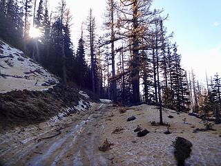 Walking the last 1/4 to the trailhead mile up Rd 9712 (Beehive) due to some ice.