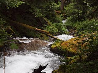 bachelor creek from campsite