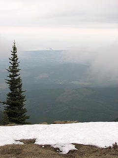 View of Sequim valley