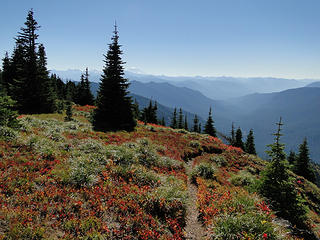 Looking back down the Shriner Peak lookout trail.