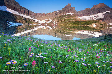 Sue Lake