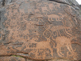 petroglyphs