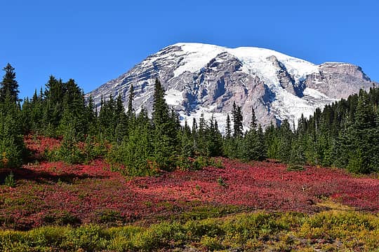Mt. Rainier in autumn