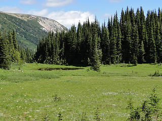 Glacier Basin.