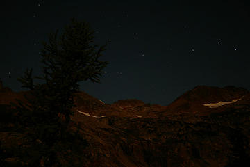 Larch tree and pt 7499 with stars