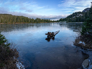 Log on Reflection Lake