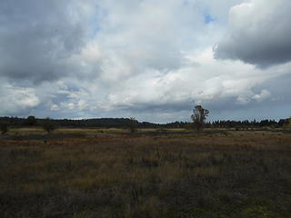 West Rocky Prairie Wildlife Area 100519 14