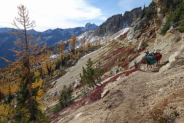 along the PCT