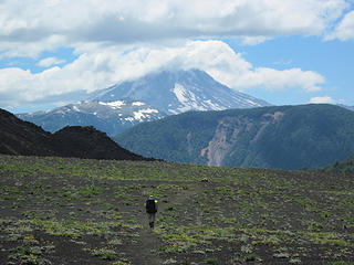 Across the barren plain looking at El Volcan Lanin