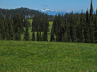 Stuart Range from Grand Park. 
Lk Eleanor trail to Grand Park MRNP 7/17/10