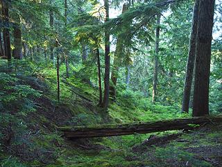 a nice green way to exit