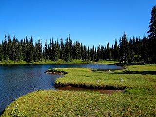 Stunning Clover Lake (flowers galore)