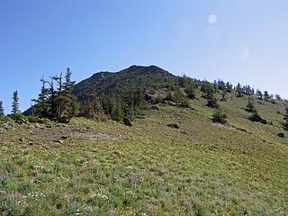 Working our way up the flowery West slope to Three Brothers.