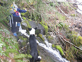 One of a handful of creek crossings