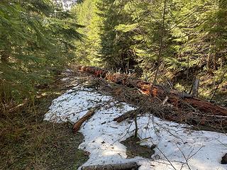 Snow line. Big log fallen on road