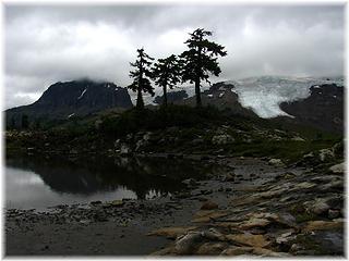 3 tree tarn