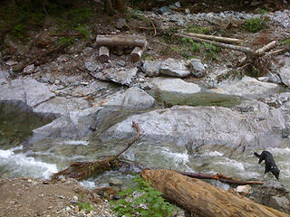 What's left of the bridge with Garrison taking a dip