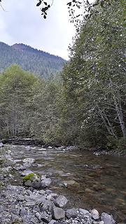 wanlick Creek on South Fork Nooksack on PNT