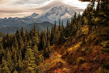 Mt Rainier as seen from the Bearhead Mountain trail