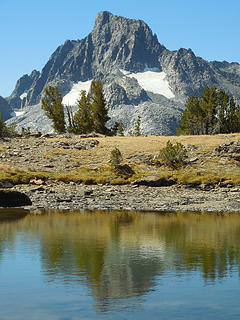 Banner Pk. reflection