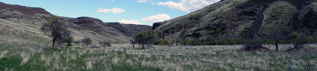 Hiking through a long gone homestead in Brushy Creek.