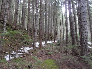 began running into snow (these roads are on the north shady side of the ridge)