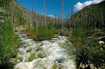 Chewuch River view from bridge