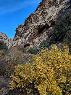 3. Heading up First Creek Canyon