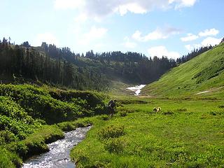 Looking S/SW up meandering meadows - David crossing Little Wenatchee