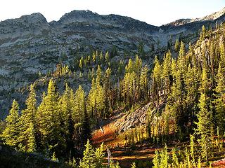 Larches below the basin of Stiletto Lake