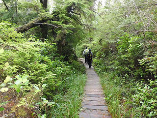 slippery boardwalk - where I hurt my hip the last time I was here 32 years ago