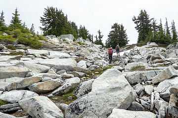 Emerging into the white rocks that cover the entire summit area of St Agnes Ridge