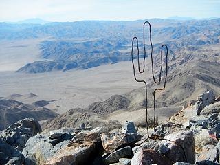 saguaro