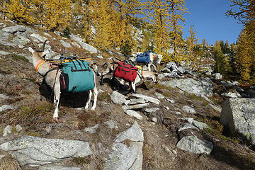 On the Peepsight Lake 'trail'