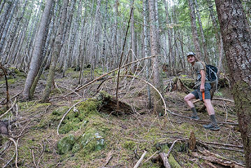 We were surprised to find the second growth understory to be mostly open with lots of dry moss to walk up.