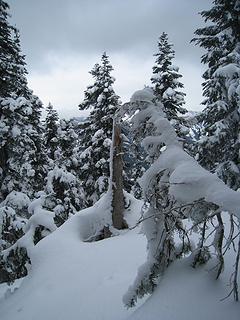 the first 'views' while on the ridge