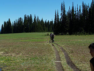 BC and raz on the trail and BPLlama on right.