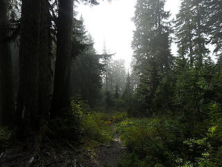 leaving the lake to go back down the trail