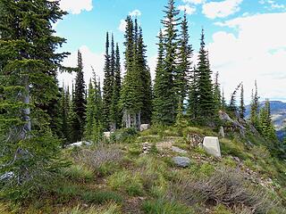 I took a hike to the summit of Shedroof Mtn after a day of work. A spur trail goes to the top which used to have a lookout.