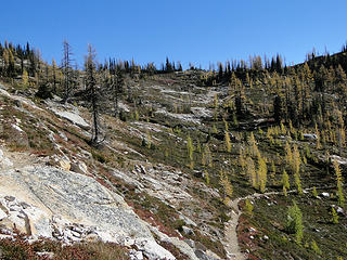 Trail to Cutthroat Pass.