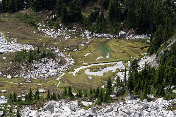 Mosquito Hatchery