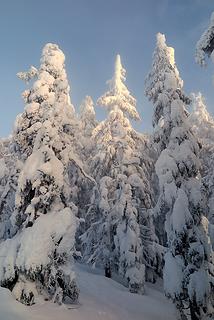 late afternoon light