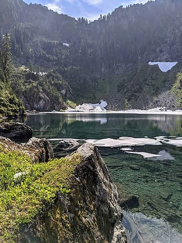 Blueberry Heather Rock