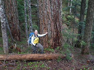 Kim & Big Tree