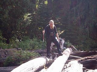 BC navigating the logs to a nice sunny lunch spot.jpg