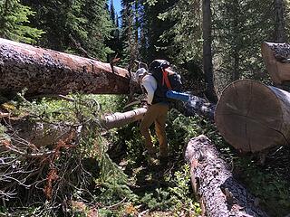 Boundary Trail at Frosty Creek, Slate Pass, Buckskin Ridge, Frosty Pass, PCT Loop 8/12-8/19/20