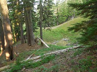 path through along the "bench"