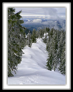 Snowy Ridge , 2.14.08.