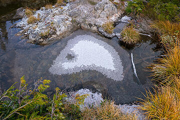 Layers of frozen